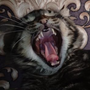 : 