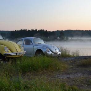  : Beetles in the morning fog of Karelia