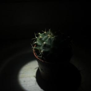 : 