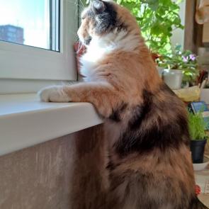 : , ,  !