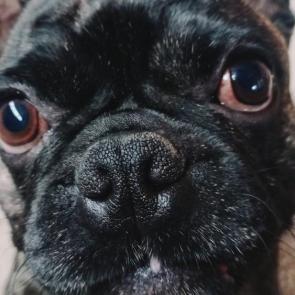 :  