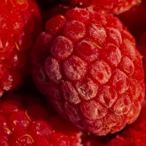 : Raspberry vibe