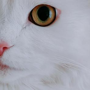 :   