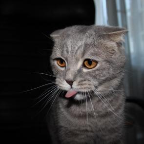 : 