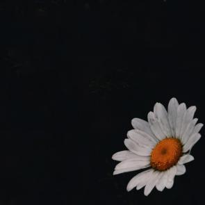 : 