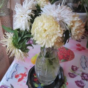 ����: ������ ����� �����