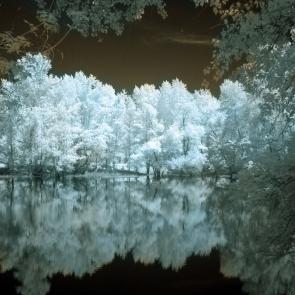 ����: Another world