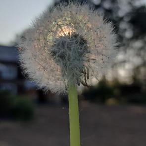 : 