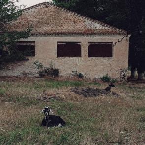  :   