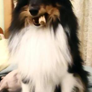 :    ?!