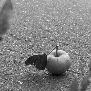 : Apple