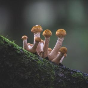 : .