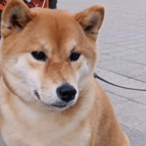  : 