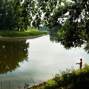 ����: �������