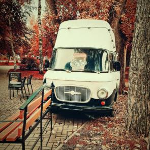:  coffee 