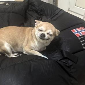  :  