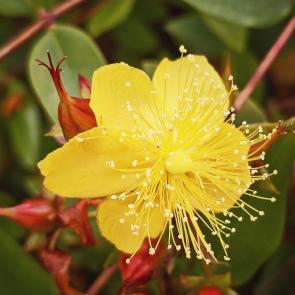 ���� ��������: �������� �������������