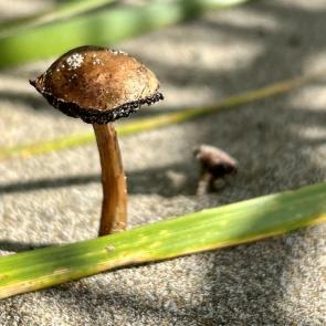 ����: � ���� �� ���� �����