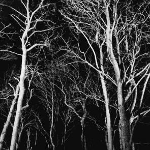 ����: ��� ������