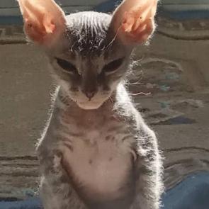 : 
