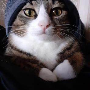 : 