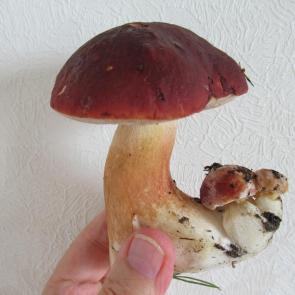 : 