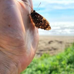 ����: �������� ������� 