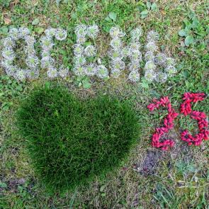 ����: ������.