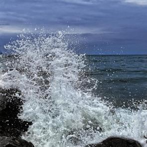 ����: ���� ���������