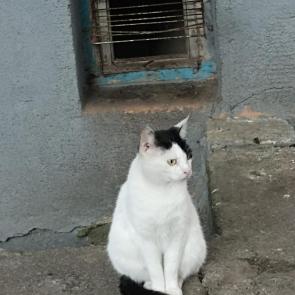 :   