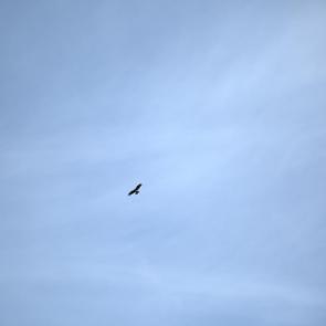 ����: ������ � �����