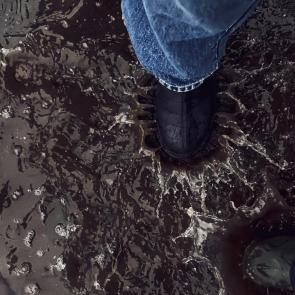 ����: �� �����