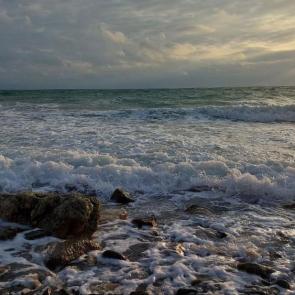 ����: �����