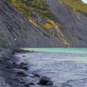 ����: ����