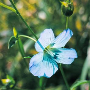 ����: �������� ������