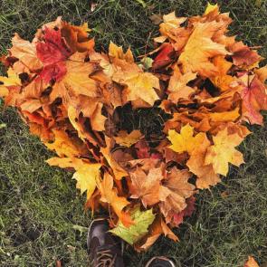 ����: �������� ������