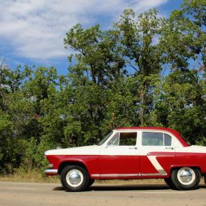 ����: �����