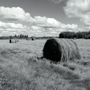 ����: ����... 