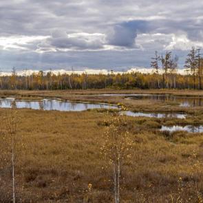 ����: ����� �����