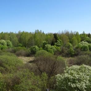 ����: �������