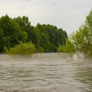 ����: ������ ����� ��� ��������� ���������