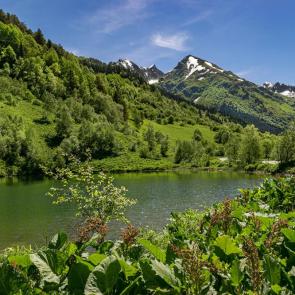 ����: ������ ������