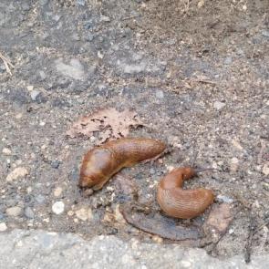 ����: ������� � ������� 