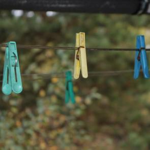 ����: � �������� �������