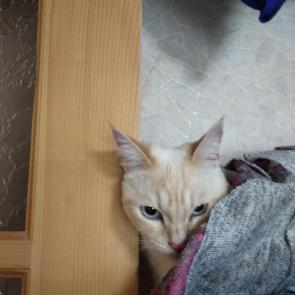 ����: ������11