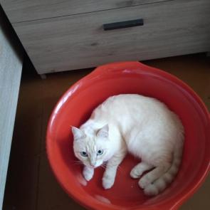 ����: ������06