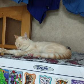 ����: ������ 09