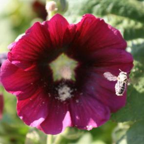 ����: ������ ����� �� ������!