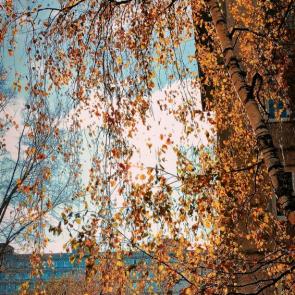 ����: ����� ������� ������