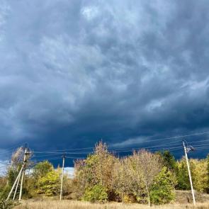 ����: ����������